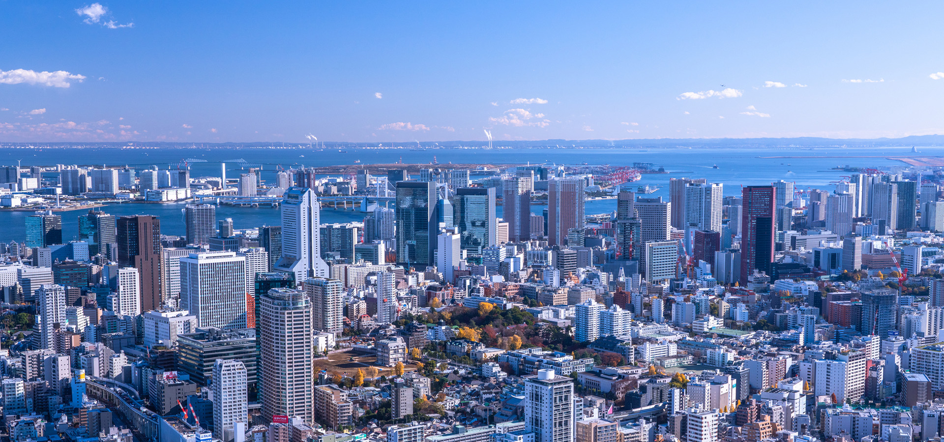 メインビジュアル