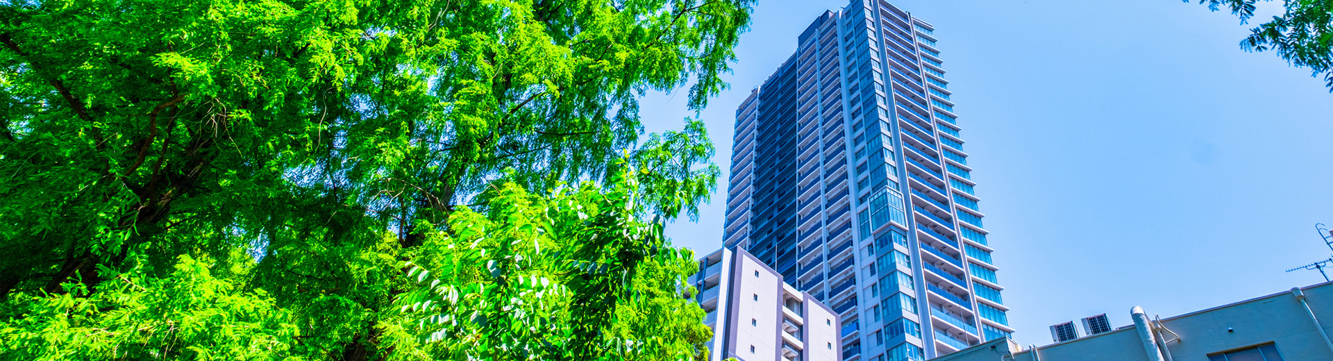 キービジュアル